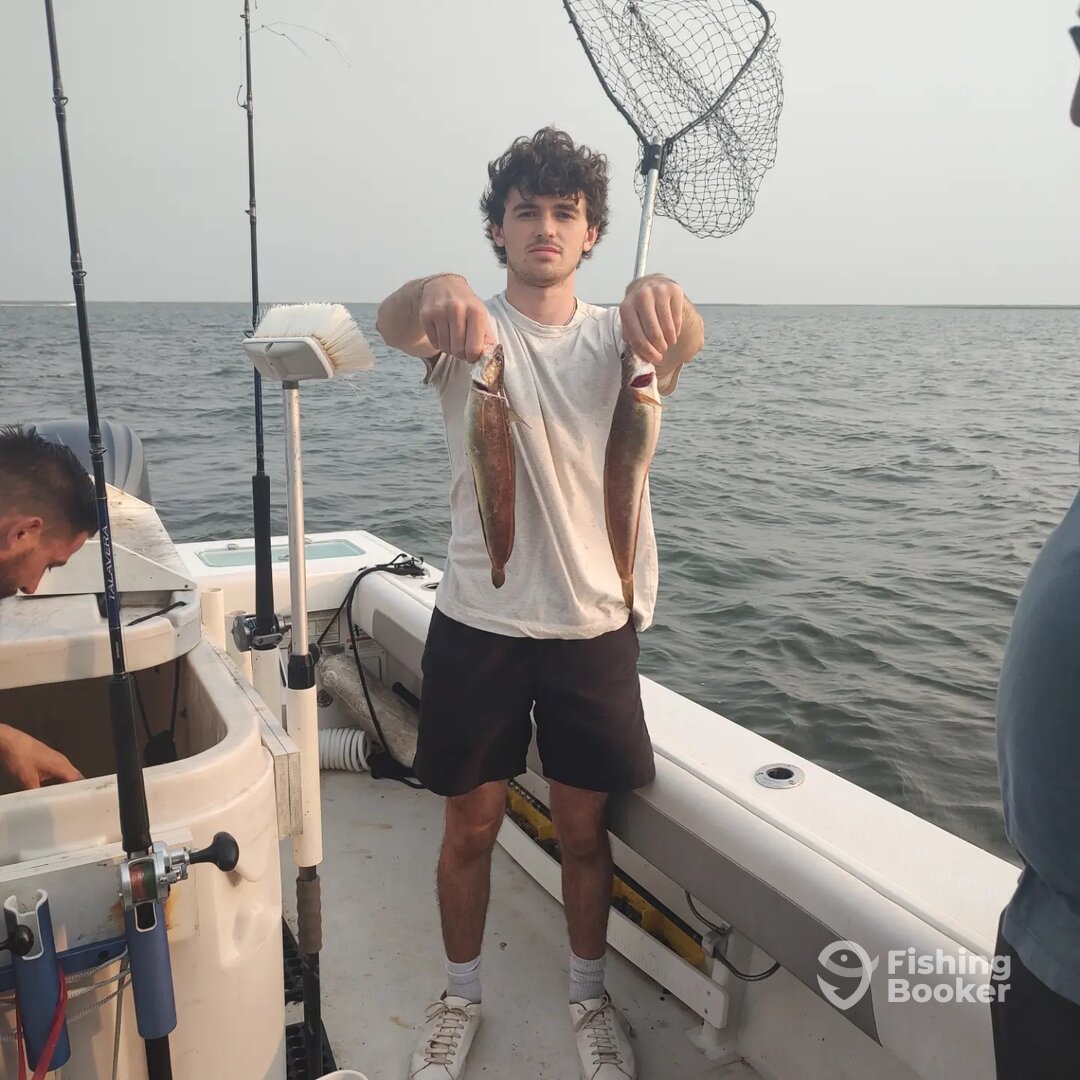 Mastic Report Photo 0