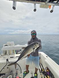 Panama City Report Photo 2
