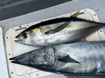 Herradura Report Photo 1