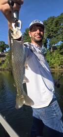 Branson Report Photo 1