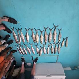 Chesapeake Beach Report Photo 1