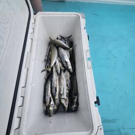 Chesapeake Beach Report Photo 2