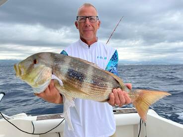 Fishing & eating Dentex