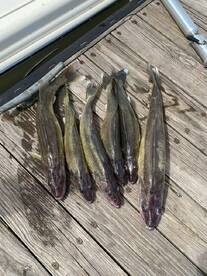 August Super Moon Eyes