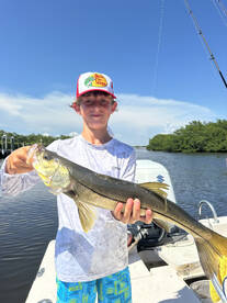 Sarasota Report Photo 1