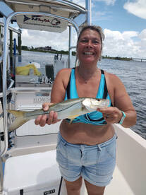 Sarasota Report Photo 1