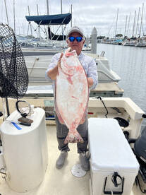 Halibut Halibut Halibut 