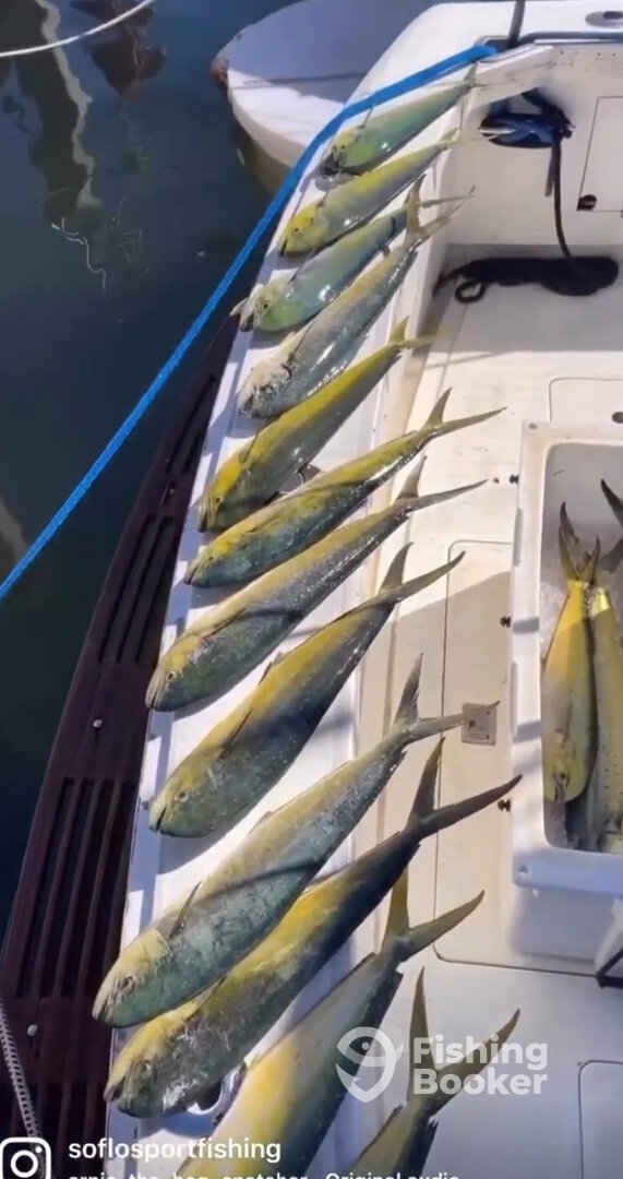 Fort Lauderdale Report Photo 0