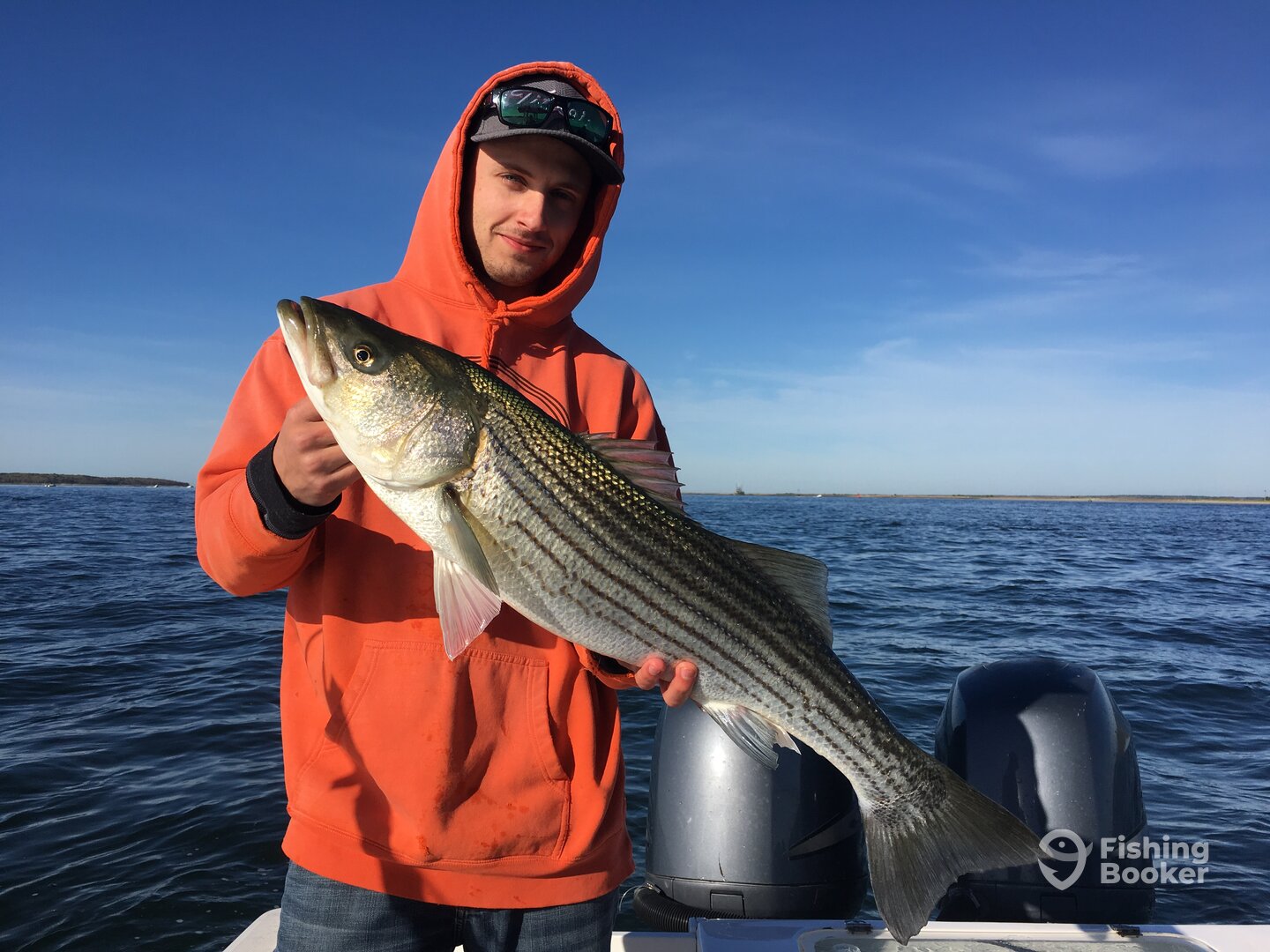 Bourne Report Photo 0