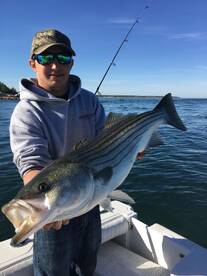 Bourne Report Photo 2