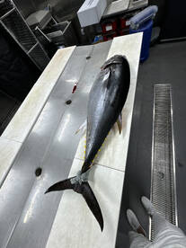 Huntington Beach Report Photo 2
