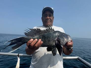 Montauk Report Photo 1