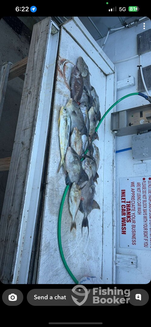 Murrells Inlet Report Photo 0