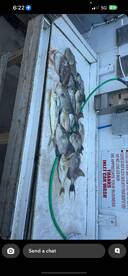 Great couple of days of fishing 