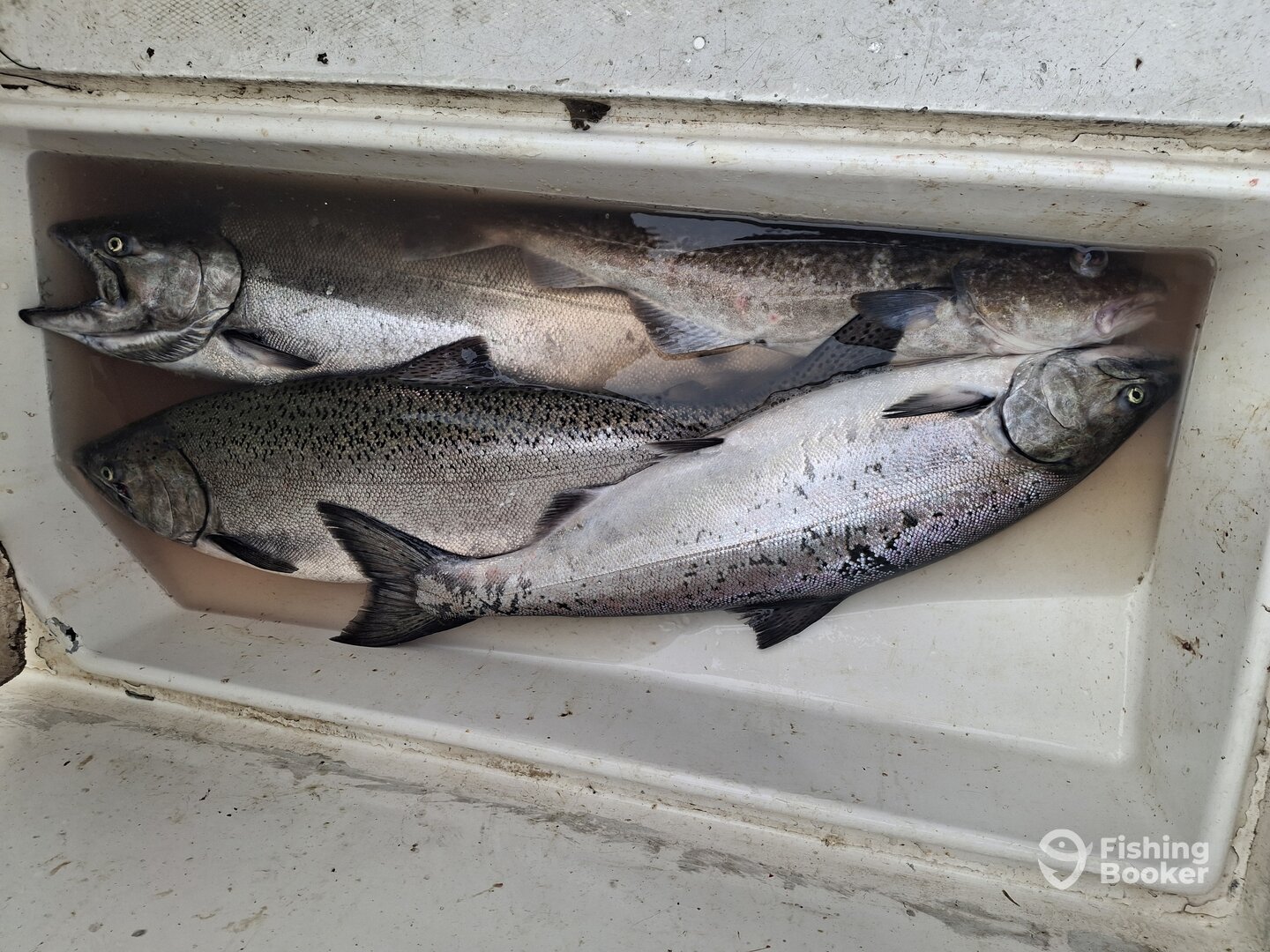 Parksville Report Photo 0