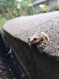 Parksville Report Photo 2