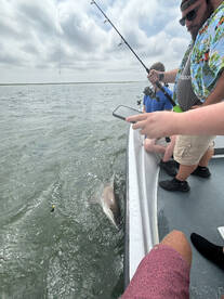 Brigantine Report Photo 1