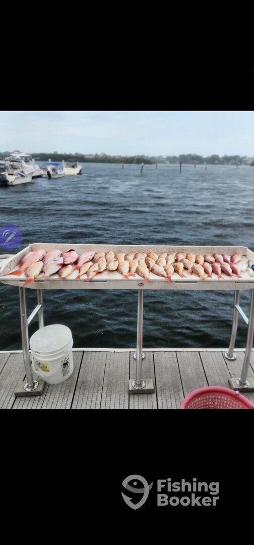Clearwater Report Photo 0