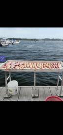 Red snapper slam !!