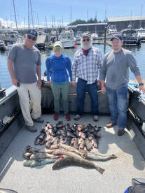 Newport Report Photo 1