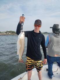 Texas City Report Photo 2