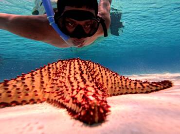 Playa Del Carmen Report Photo 1