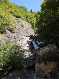 Asheville Report Photo 1