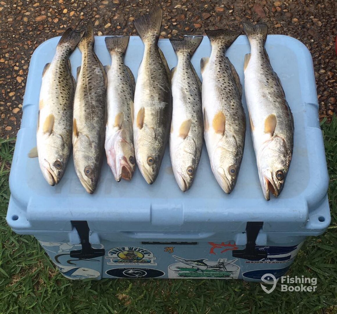 Destin Report Photo 0