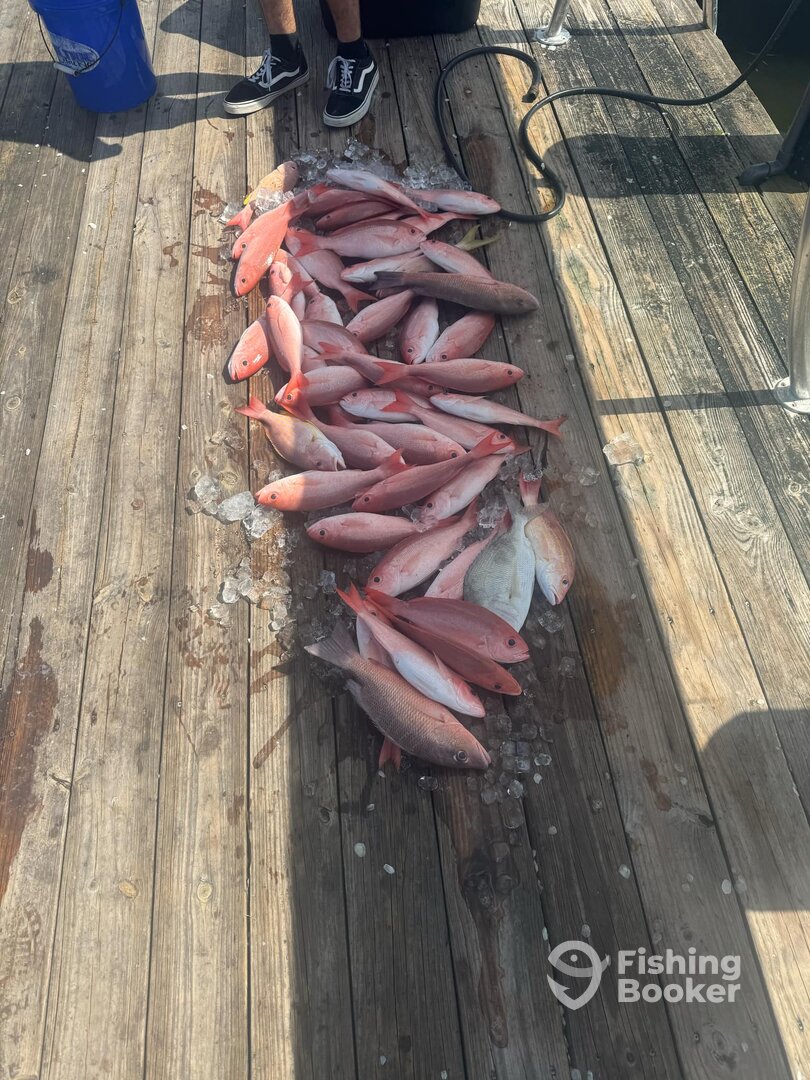 Fort Myers Report Photo 0