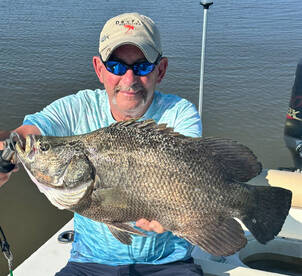 Tripletail were chewing! 