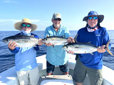 Excellent bite on Blackfin tunas ! 