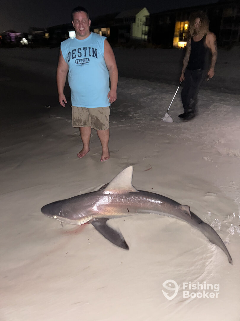 Destin Report Photo 0