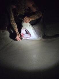 Destin Report Photo 2