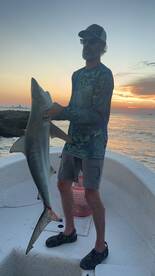 Redfish and black tip sharks
