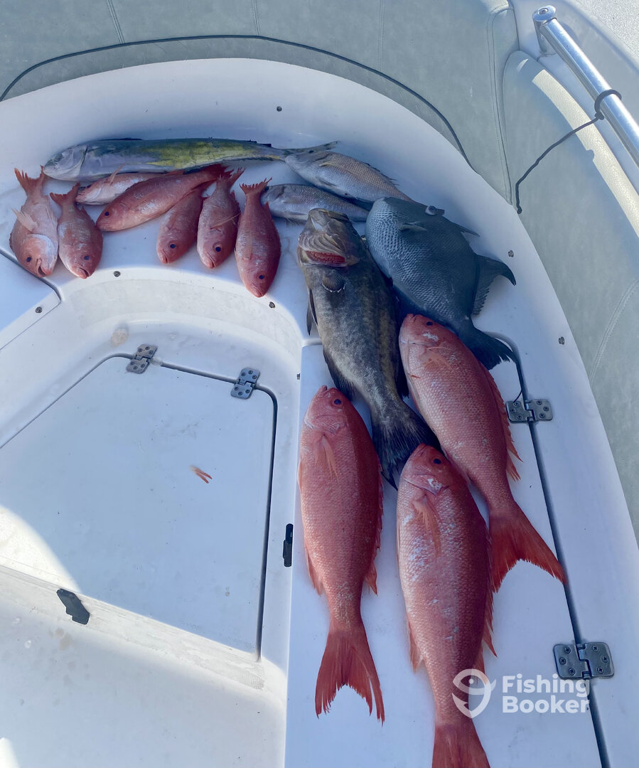 Port Orange Report Photo 0