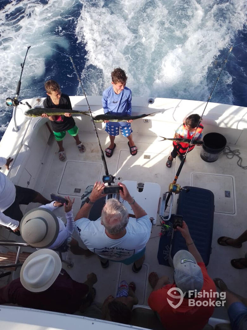 Puerto Aventuras Report Photo 0