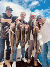 Richard Novak Charter