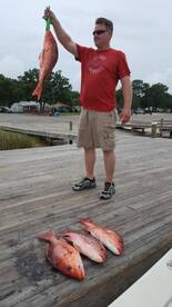 Red Snapper