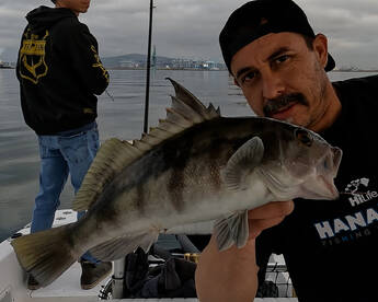 8/23 2 Hour Harbor Fishing 