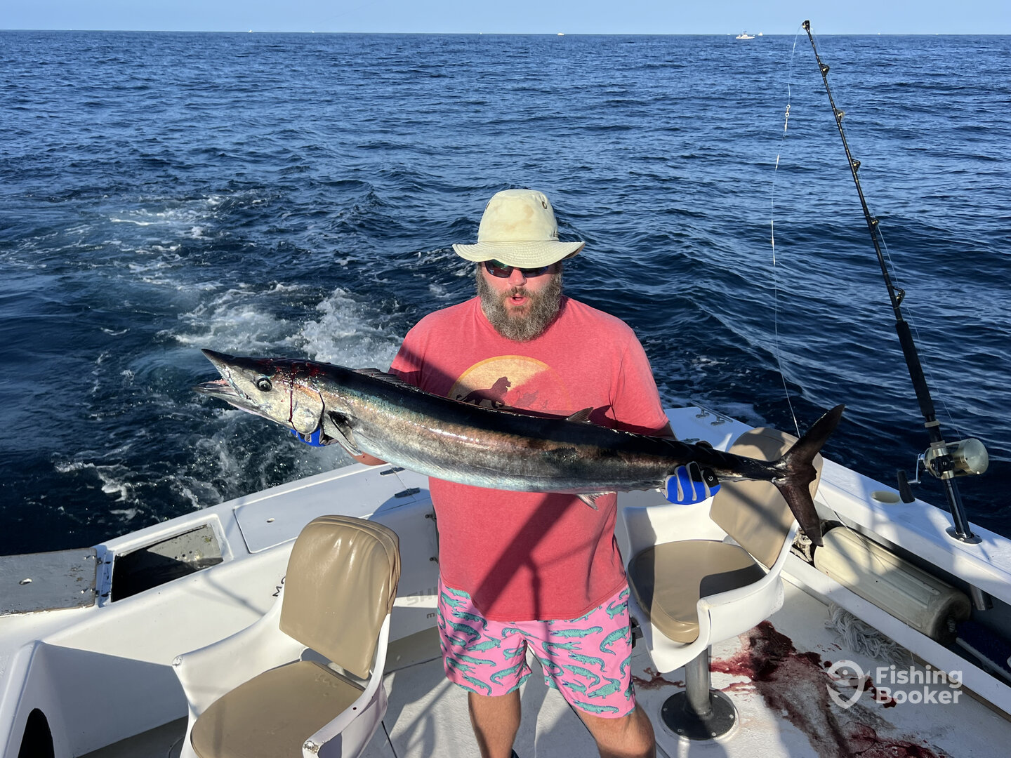 Cabo San Lucas Report Photo 0