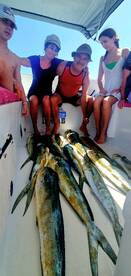 Playa Del Carmen Report Photo 2
