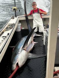 Fall Is upon us Tunas sharks and groundf