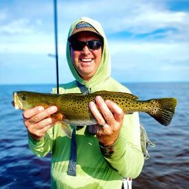 Palmetto Report Photo 2