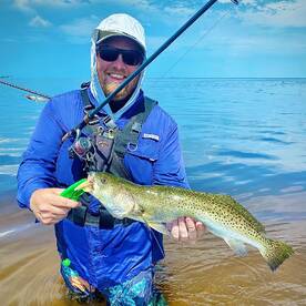 Palmetto Report Photo 1