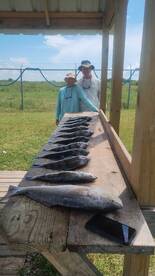 Texas City Report Photo 1