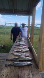 Texas City Report Photo 2