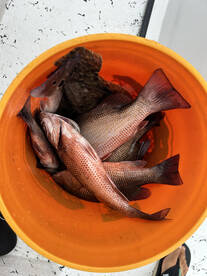 Jacksonville Report Photo 2