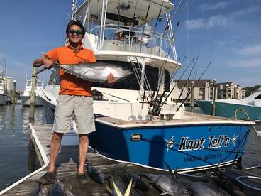 Virginia Beach Report Photo 2