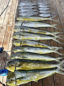 Placencia Report Photo 2