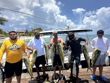 Mahi mahi madness in Belize???